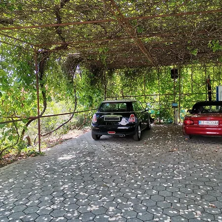 Dom wakacyjny Art House