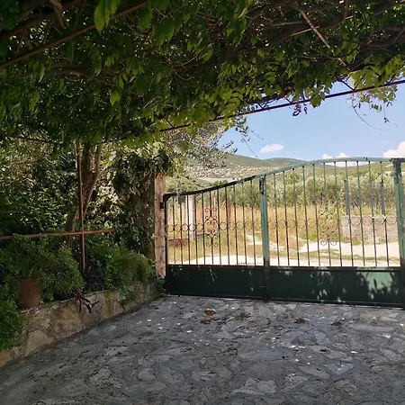 Art House Nyaraló Plano
